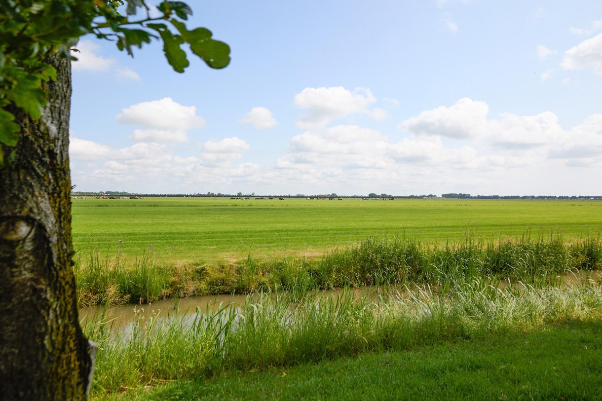 Te koop: Foto Woonhuis aan de Reigersbosch 9 in Middenbeemster