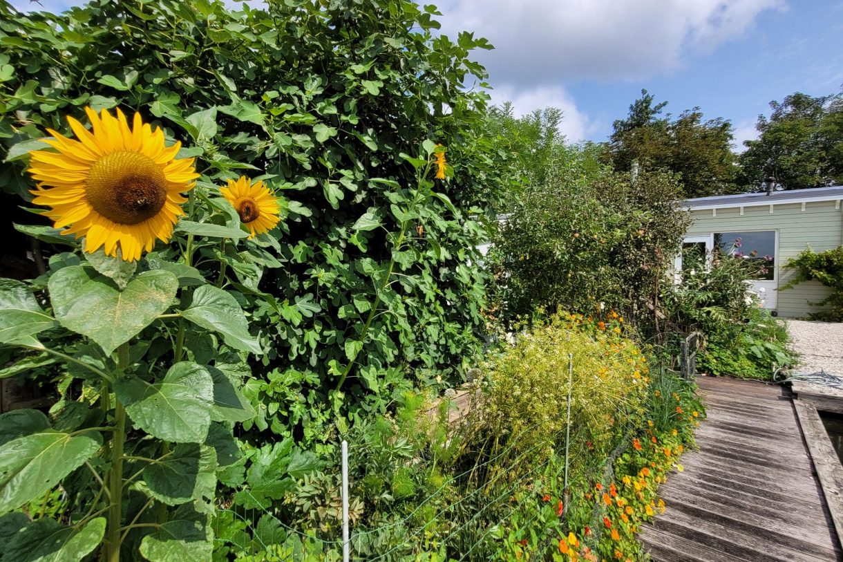 Te koop: Foto Woonhuis aan de Warder 181 in Warder