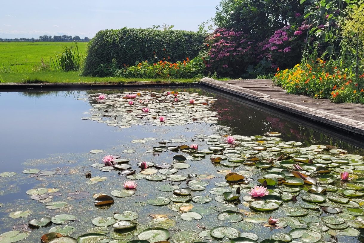 Te koop: Foto Woonhuis aan de Warder 181 in Warder