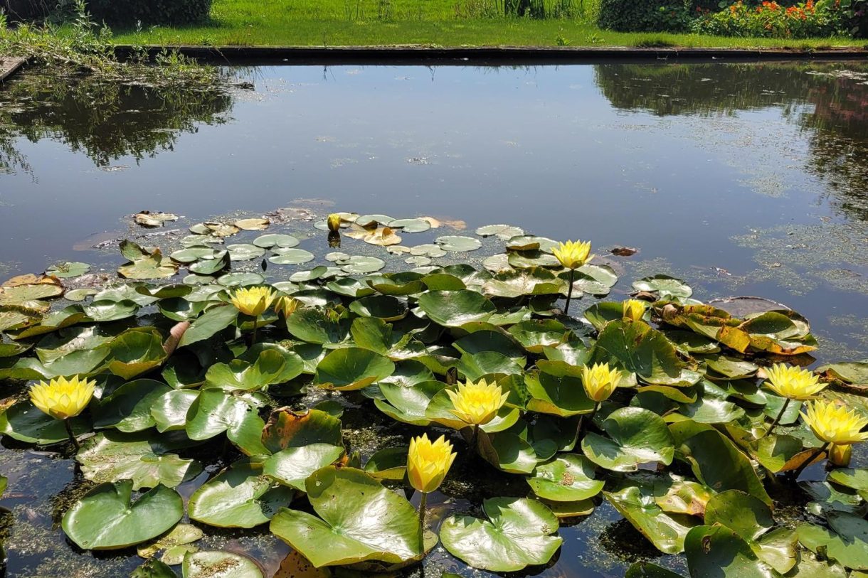 Te koop: Foto Woonhuis aan de Warder 181 in Warder
