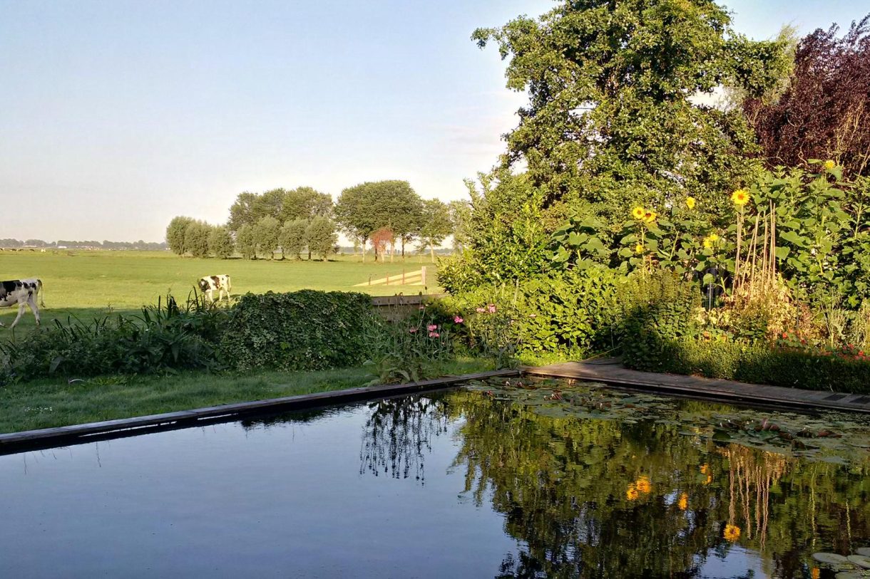 Te koop: Foto Woonhuis aan de Warder 181 in Warder