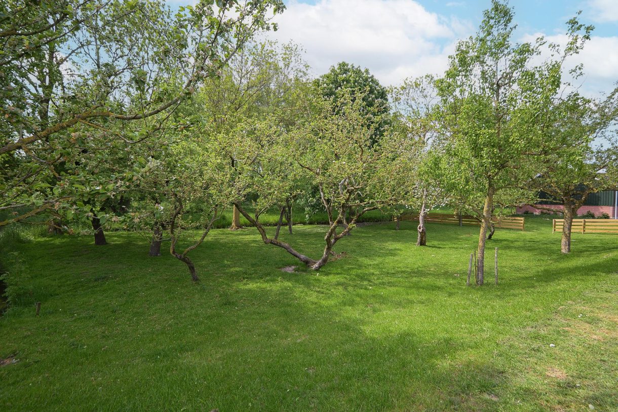 Te koop: Foto Woonhuis aan de Beets 19 in Beets
