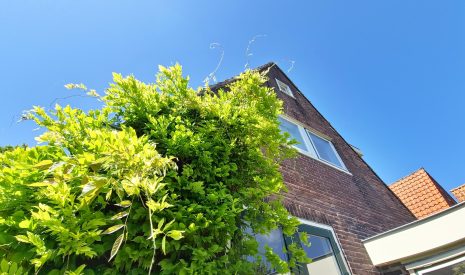 Te koop: Foto Woonhuis aan de Purmerenderweg 108 in Zuidoostbeemster