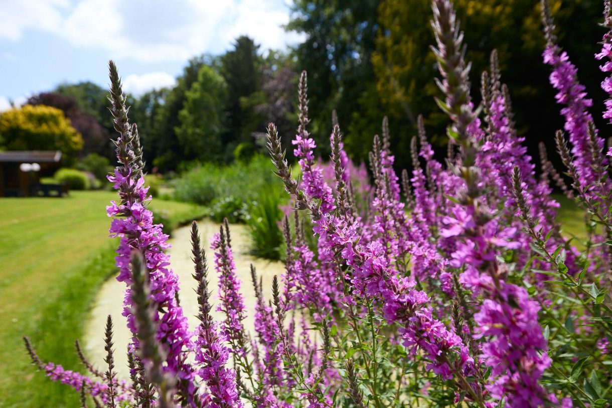 Te koop: Foto Woonhuis aan de Zuiderweg 79 in Zuidoostbeemster