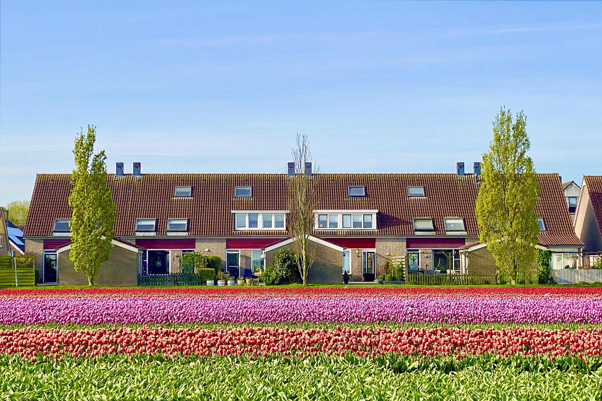 Te koop: Foto Woonhuis aan de Molwijk 11 in Middenbeemster